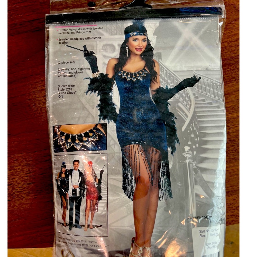 NWT Dreamgirl “Downtown Doll” costume